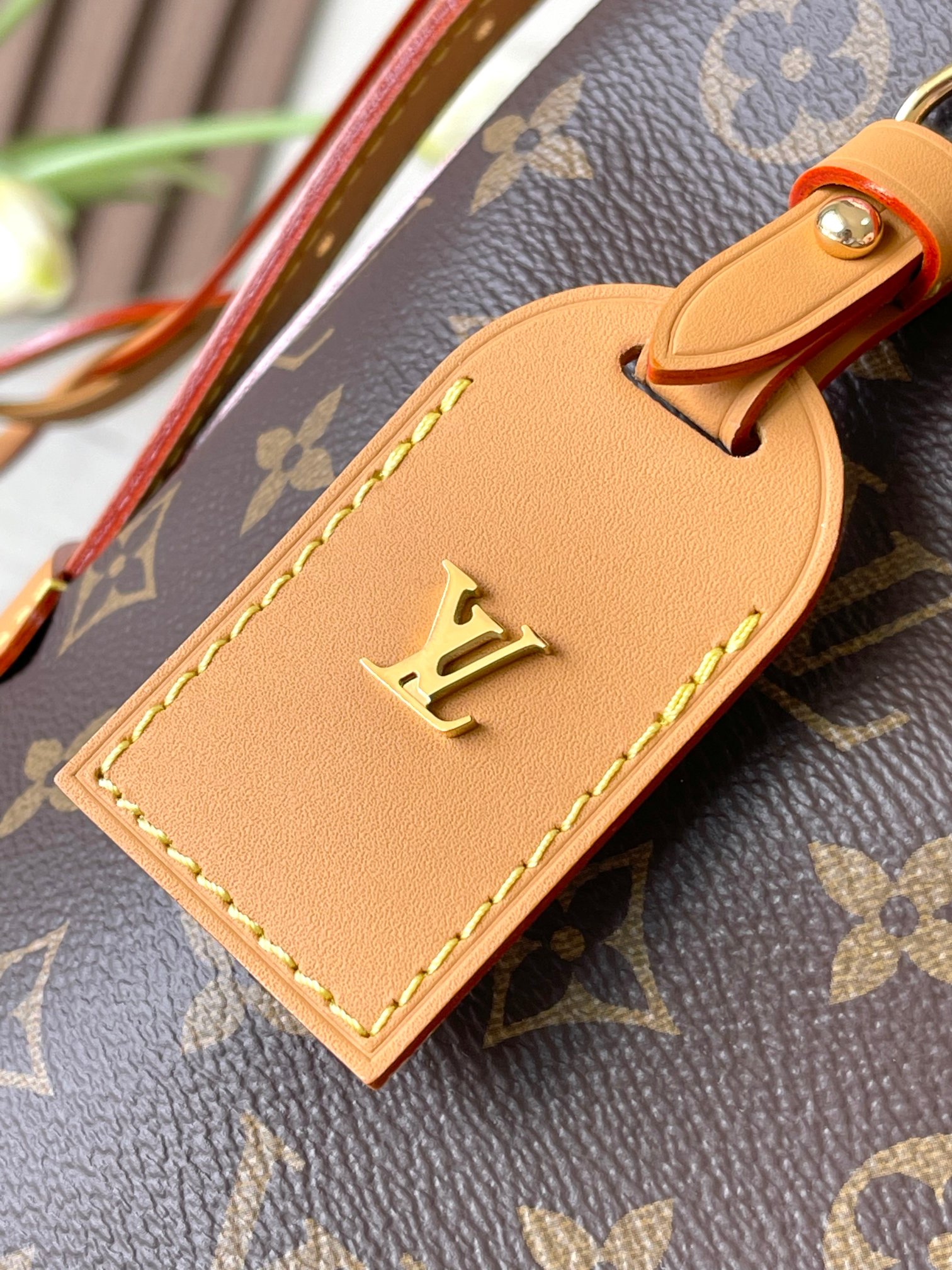 Louis Vuitton Shopping Bags